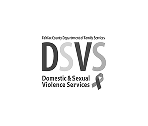 DSVS Logo